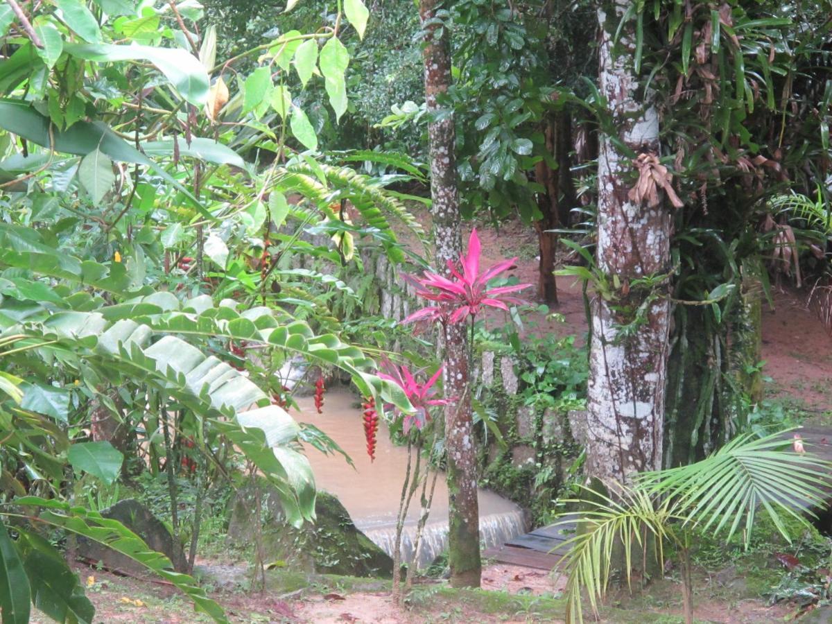 Villa Janela Dos Meus Sonhos Penedo  Esterno foto