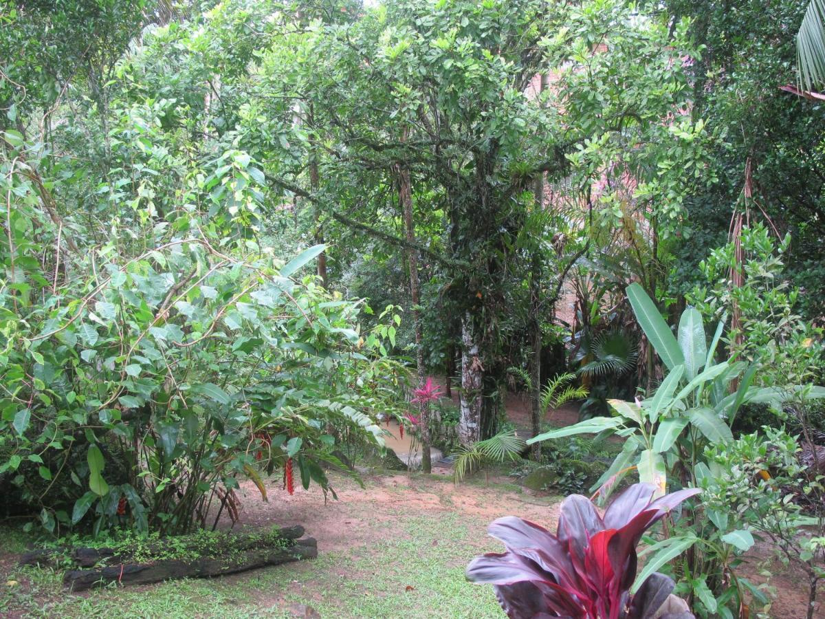 Villa Janela Dos Meus Sonhos Penedo  Esterno foto