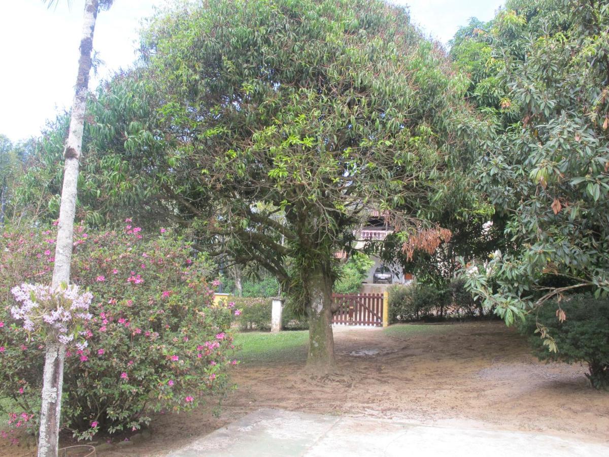 Villa Janela Dos Meus Sonhos Penedo  Esterno foto