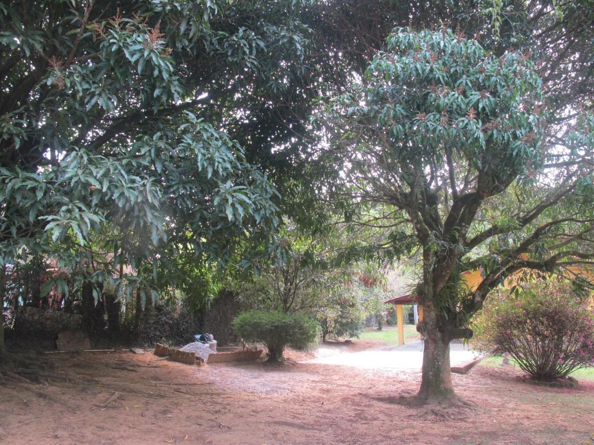 Villa Janela Dos Meus Sonhos Penedo  Esterno foto